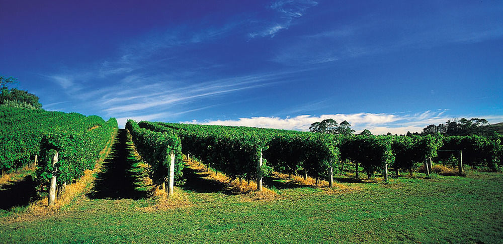 Vineyard Cottages - Kumeu Waimauku Ngoại thất bức ảnh