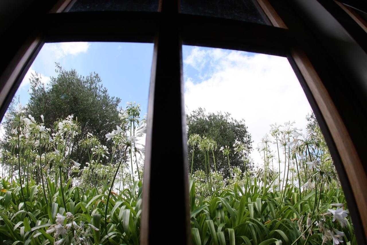 Vineyard Cottages - Kumeu Waimauku Ngoại thất bức ảnh